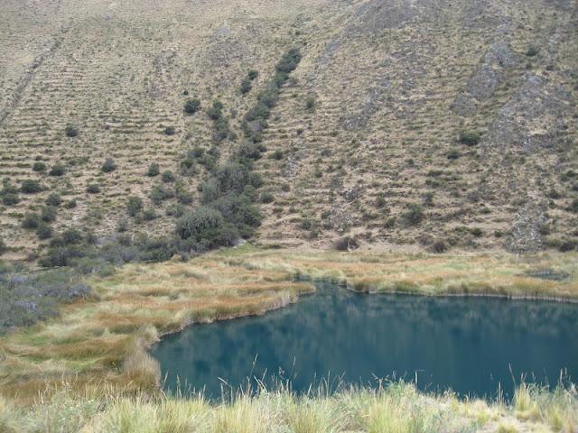 VILCA: DE NUEVO EN LOS PARAISOS DEL AGUA
