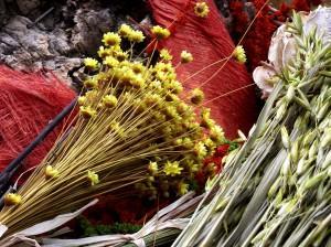 LA SERENIDAD DEL AMARILLO