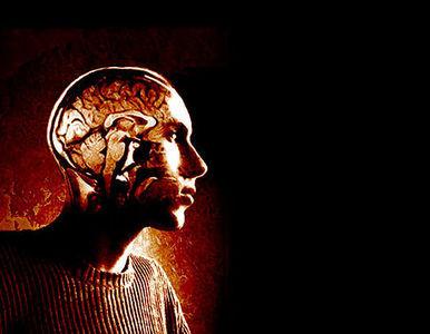 Crean Una Vacuna Contra El Tumor Cerebral a Partir Del Mismo Cáncer