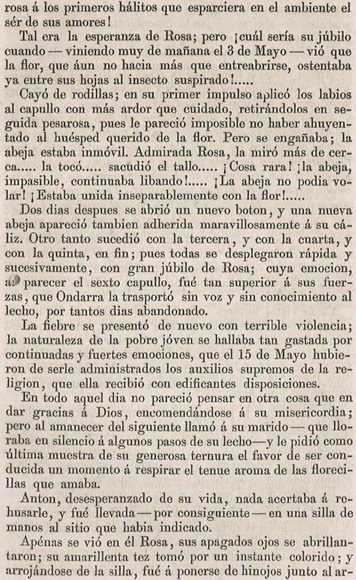 LA FLOR DEL ÁNGEL (VI parte)