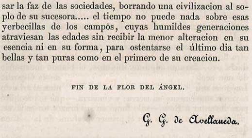 LA FLOR DEL ÁNGEL (VI parte)