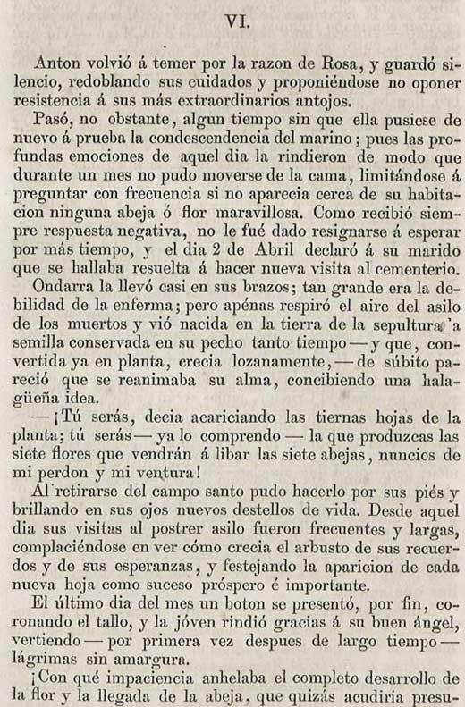 LA FLOR DEL ÁNGEL (VI parte)