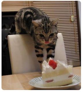 Feeeeliz, feliz cumpleaños ¡para mí!