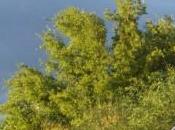 Blog Proyecto Klein: Conectando mundos matemáticos