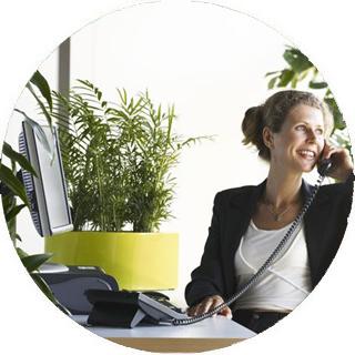 Las mejores plantas para la oficina