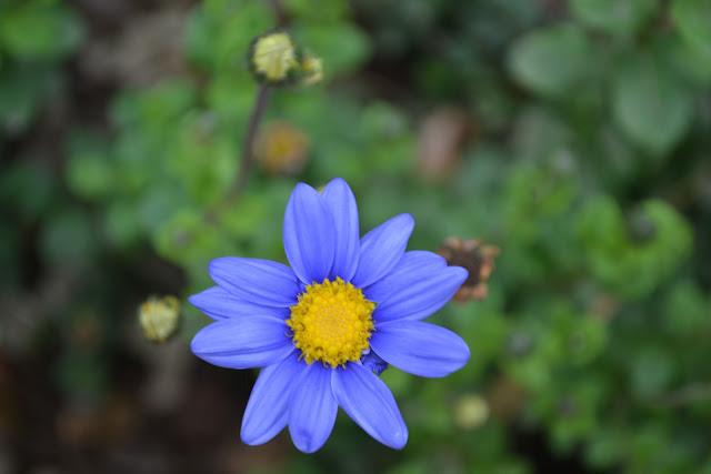 Una Belleza espectacular