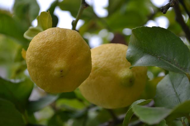 Una Belleza espectacular