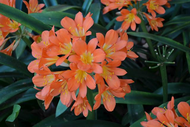 Una Belleza espectacular