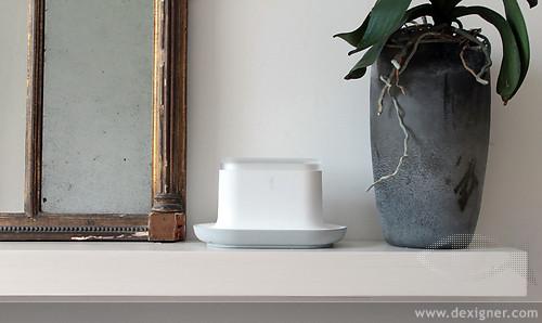 De Olores y Perros…Contra las Demencias