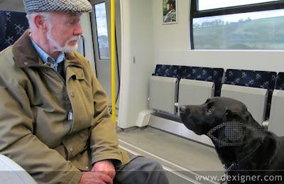 De Olores y Perros…Contra las Demencias