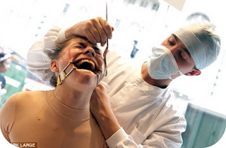 Lush - No al Testeo en Animales