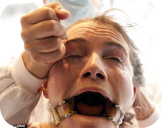 Lush - No al Testeo en Animales