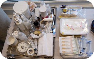 Lush - No al Testeo en Animales