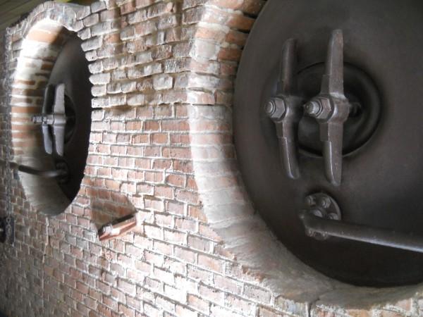 Cineteca, un lugar para vivir