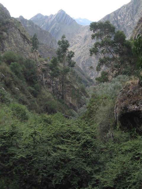 CAMINANDO HACIA UN PUEBLO FANTASMA: HUAQUIS