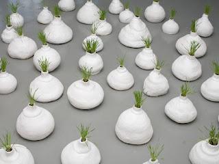 Y si los jardines crecieran en cualquier lugar, y si fuer...