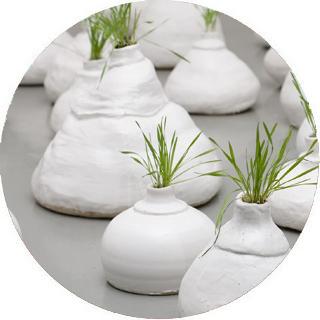 Y si los jardines crecieran en cualquier lugar, y si fuer...