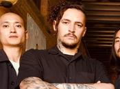 Vanta «Perpetual Selection»