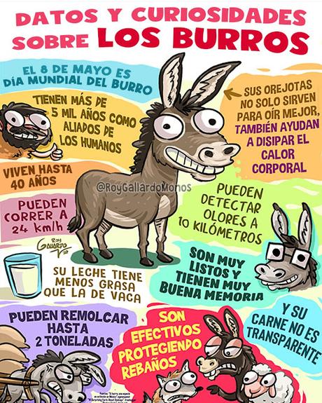 Burros