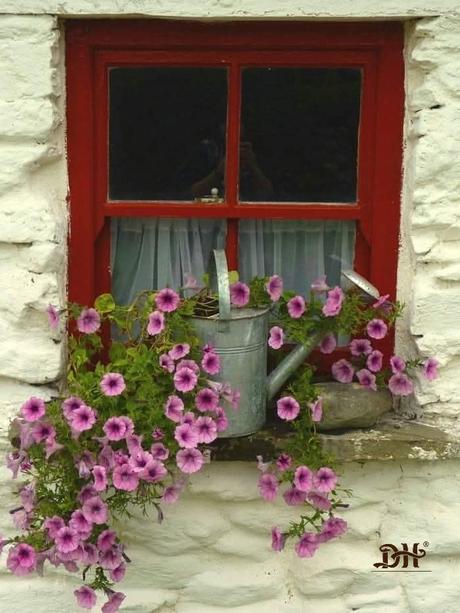 _ Ventanas en Primavera,  ☘️