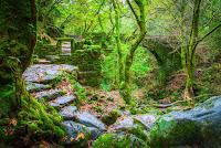 Detective Ferruchi de Marta Villar Detective Ferruchi de Marta Villar