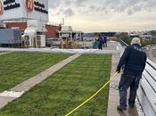 Cubiertas ajardinadas edificios, solución combina eficiencia energética sostenibilidad