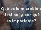 ¿Qué microbiota intestinal importante?