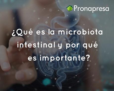 ¿Qué es la microbiota intestinal y por qué es importante? ¿Qué es la microbiota intestinal y por qué es importante?