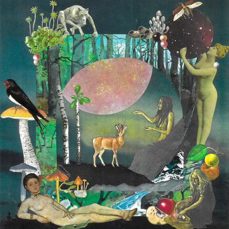 Danefae - Tro (2022) Danefae - Tro (2022)