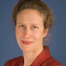 El ingenio de los pájaros