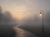 niebla,