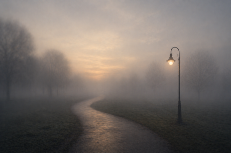En la niebla, una luz