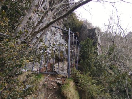 Ruta por la Riera de Carboner en Setcases: Cossi d’en Batlló, cascadas y bosque nevado