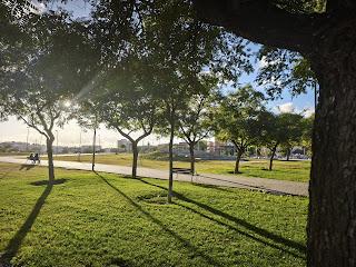 RECOMENDACIONES DESDE EL PARQUE