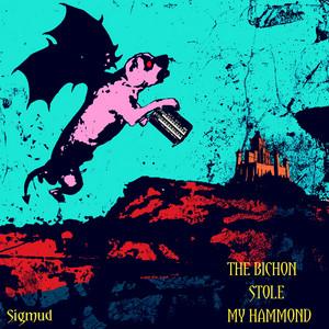 Sigmud - The Bichón Stole My Hammond (2026)