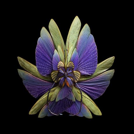 Flower Power.