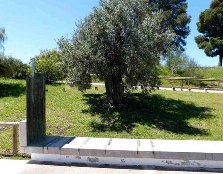 “Centro solar Michael Hoskin” en Antequera