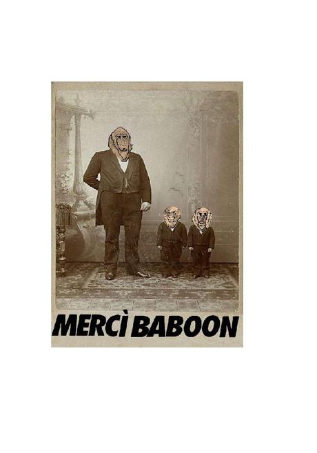 Mercí Baboon - Mercì Baboon (2013)