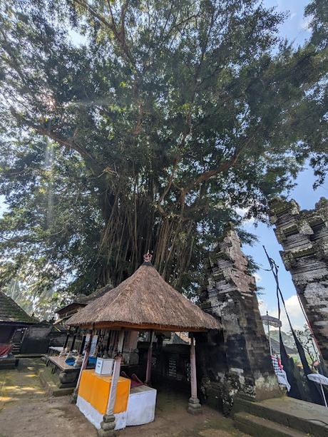 Ubud día 3 El gran Besakih