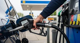 Gobierno se busca