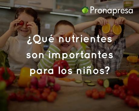 ¿Qué nutrientes son importantes para los niños?
