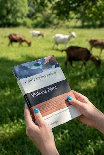Caída de las nubes (Violaine Bérot)