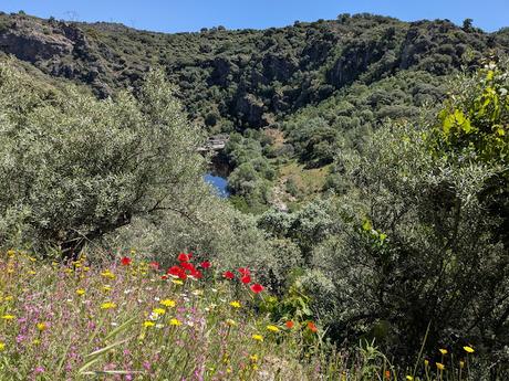 Los Arribes del Duero (Parte I)