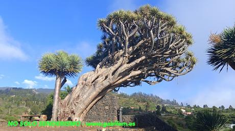 Seis días en La Palma