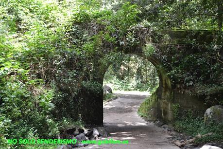 Seis días en La Palma
