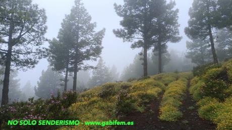 Seis días en La Palma