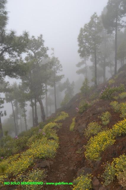 Seis días en La Palma