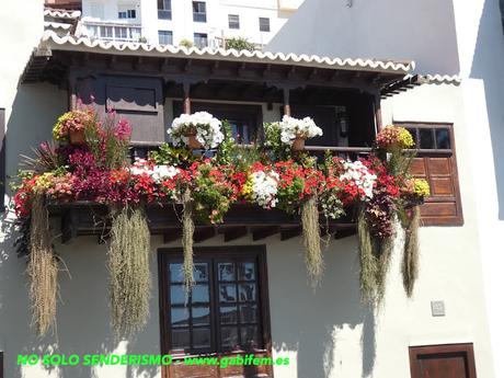 Seis días en La Palma