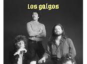 Galgos Sala