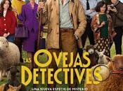 ovejas detectives